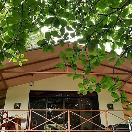 Apartmán Casa Martina Cahuita Exteriér fotografie