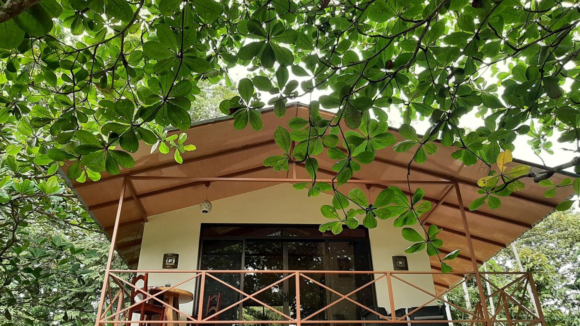 Apartmán Casa Martina Cahuita Exteriér fotografie