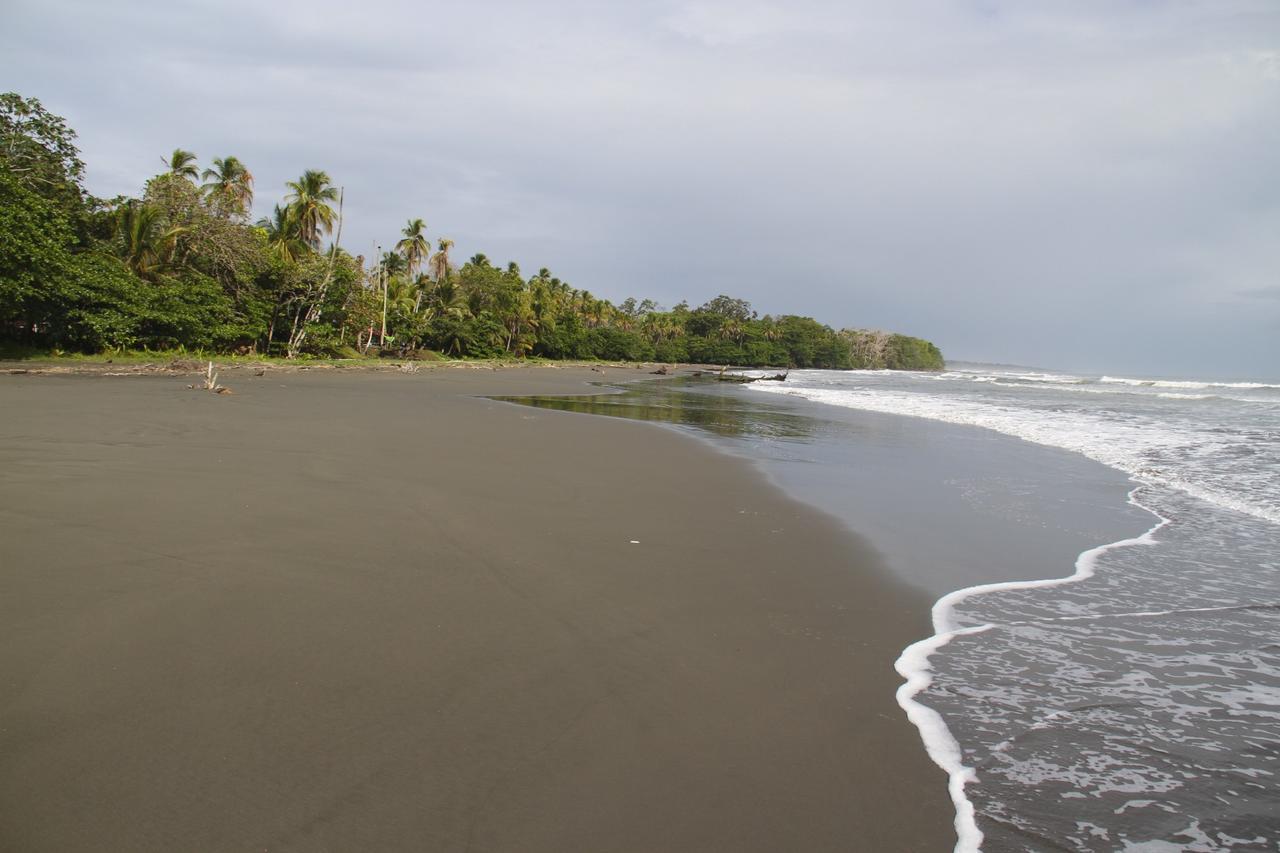 Apartmán Casa Martina Cahuita Exteriér fotografie